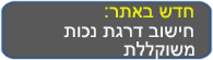 חישוב דרגת נכות משוקללת
