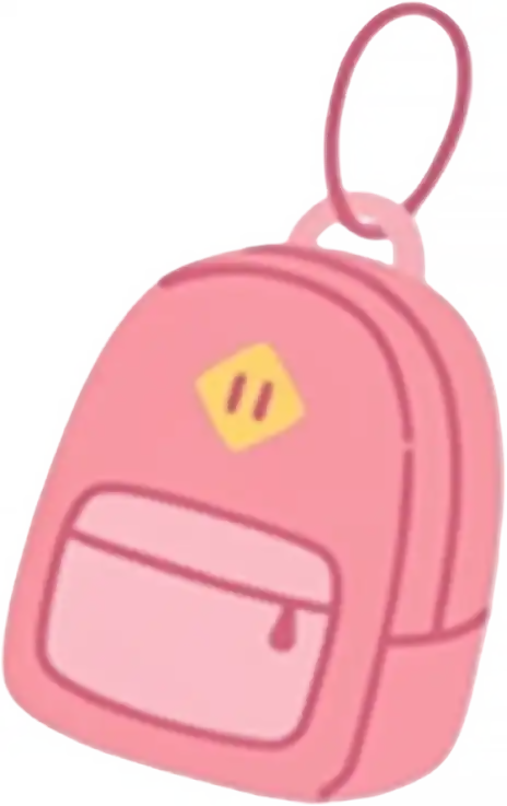 picture of bag